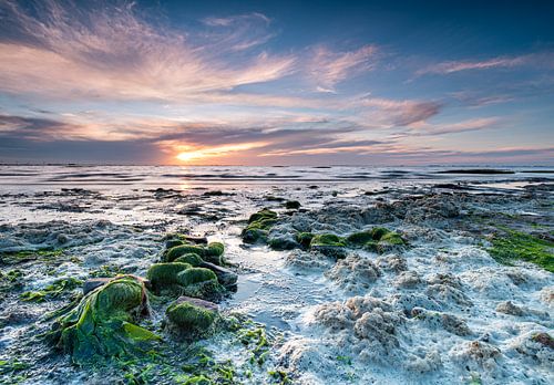 Nationalpark Oosterschelde