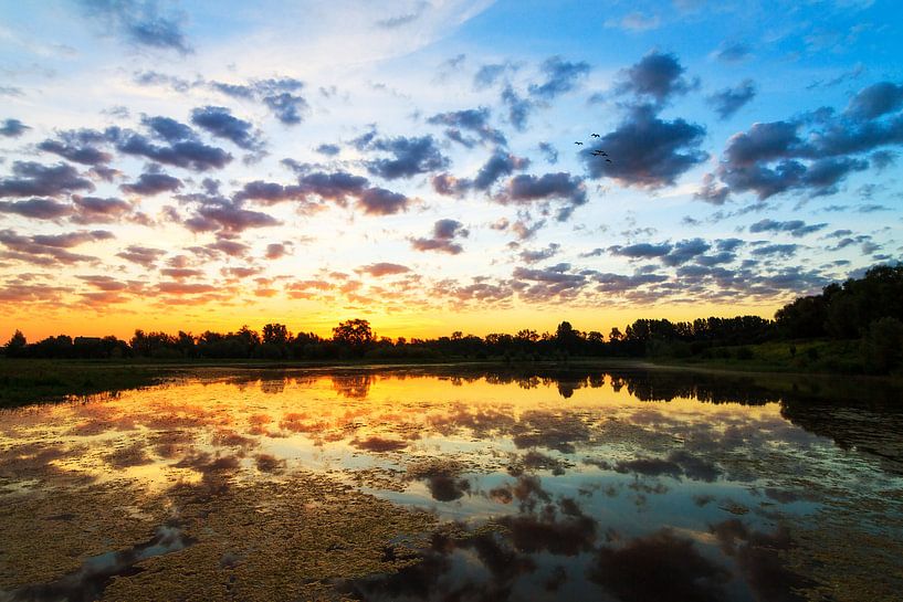 Blauwe Kamer par Dennis van de Water