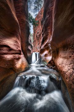 Slot Canyon with waterfall and river at Zion National Park in Utah USA.