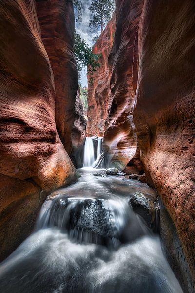 Slot Canyon with waterfall and river at Zion National Park in Utah USA. by Voss photography