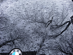 Urban Reflections 35