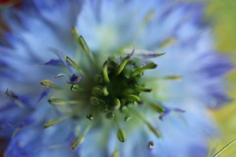 Puffer in green by Bärbel Severens