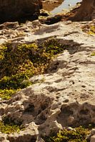 Koraal aan zee bij Moraira - Spanje