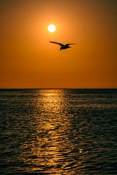Sunset in Walvis Bay Namibia, Africa by Patrick Groß