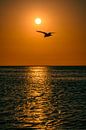 Sunset in Walvis Bay Namibia, Africa by Patrick Groß thumbnail