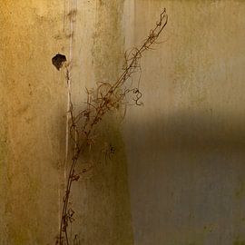 Winter in the flower greenhouse by 2CreateMore