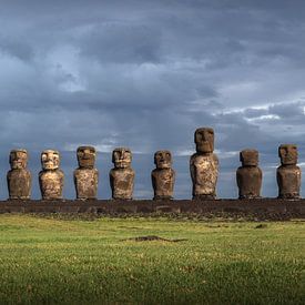 Moai de iconen van Paaseiland van Jelmer Laernoes