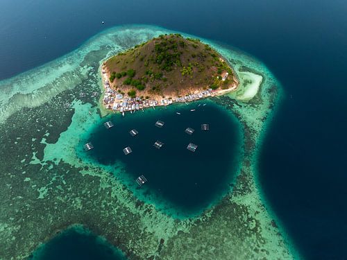 Tropisch Eiland Indonesië
