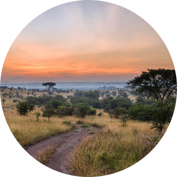 Landschap, Oeganda, Oost-Afrika van Alexander Ludwig