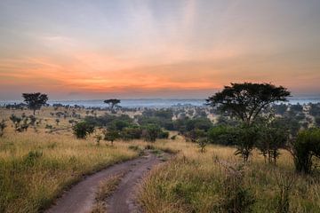 Landschap, Oeganda, Oost-Afrika van Alexander Ludwig