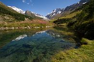 De Grundsee in het Lotschental Zwitserland van Paul Wendels thumbnail