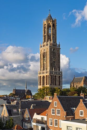 Domturm Utrecht im Abendlicht über Dächern