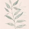 Japandi Aquarel tak zachtroze van Bloomery Decor