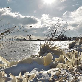 Winterlandschaft Veluwemeer von On The Road Foto
