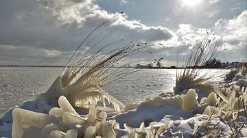 Winterlandschap Veluwemeer van On The Road Foto