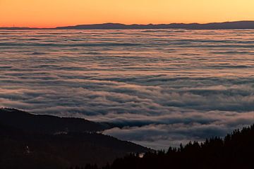 the clouds form a sea in the mountains by Kris Hermans