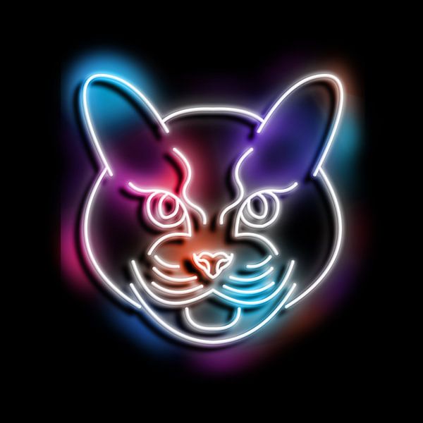 cat neon art von izmo scribbles