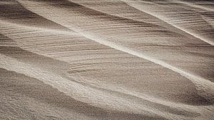Plage de la mer du Nord avec des structures de sable après une tempête sur eric van der eijk