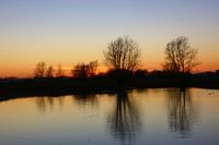 Reflection