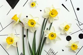 Osterglocken von Poster Art Shop