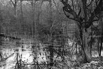 Cold winter day in black and white photography