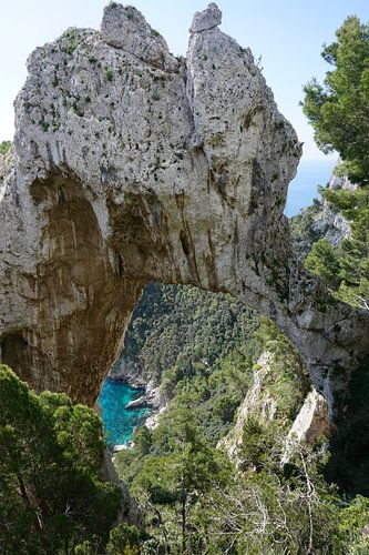 Felsformation auf Capri
