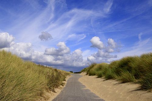 mooi Zeeland ( duinen bij Vlissingen) 