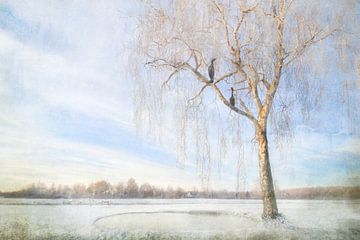 Ein kalter sonniger Tag