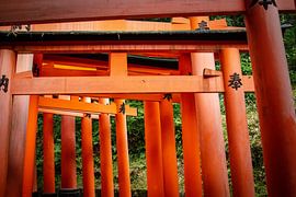 Torii-Tor in Fushimi Inari Taisha von Marcel Alsemgeest