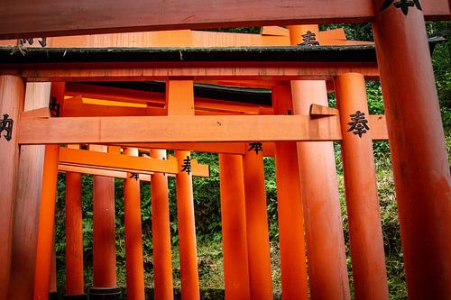 Torii-Tor in Fushimi Inari Taisha