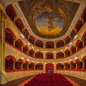 Teatro Cicero van Suzan Brands