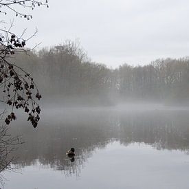 Nebelstille am Wintersee von Alex Alcalde