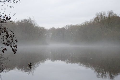 Nebelstille am Wintersee