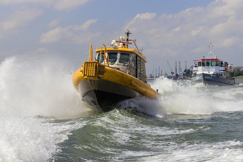 De roeiers by Peter Dane