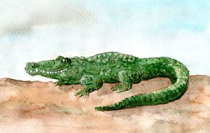 Krokodil von Sandra Steinke
