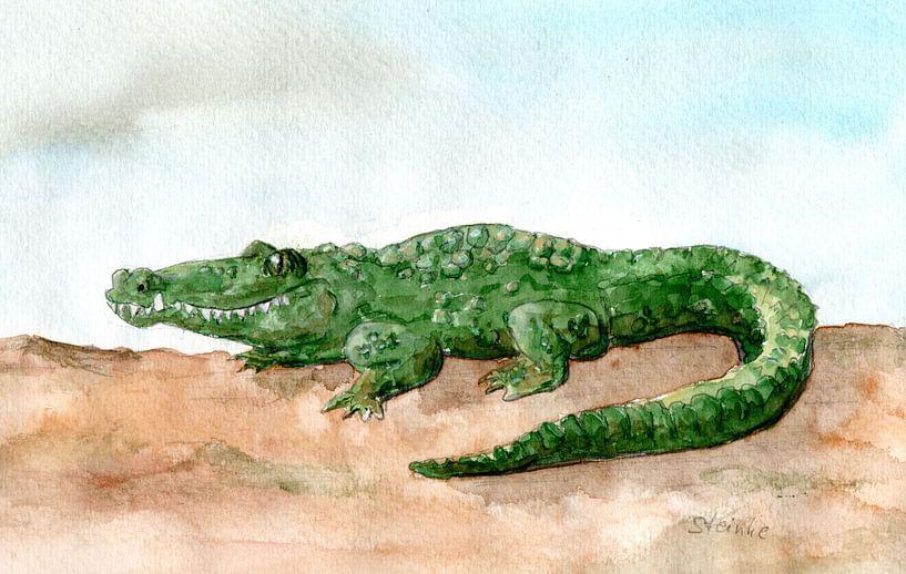 Krokodil von Sandra Steinke