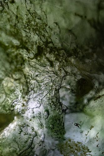 Groene Boom | Levensboom | Abstracte Foto