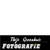 Thijs GROENHUIS Profilfoto
