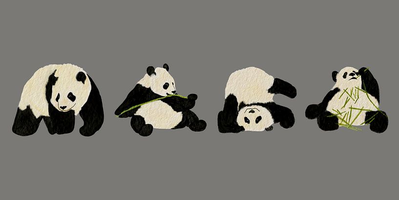 pandas: Essen, spielen ,entspannen von Atelier Nadine