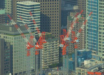 Grues Paysage urbain de Tokyo (Japon) sur Marcel Kerdijk