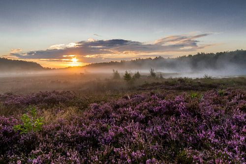 Zonsopkomst in De Teut