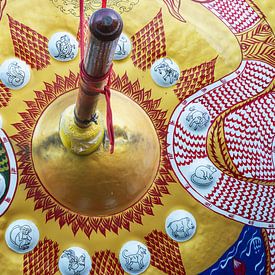 Entre cycle temporel et silence sur Walter G. Allgöwer