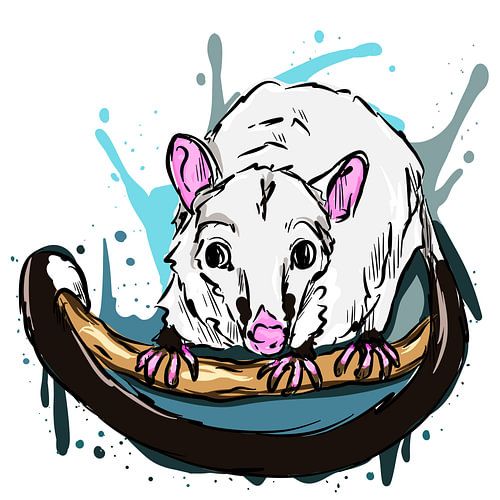 Abstrakter Fuchskusu von Antiope33