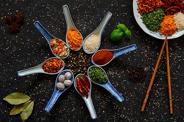 Spices and herbs in a colourful palette. by Francis Dost