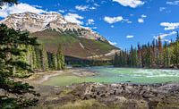 Athabasca bij de watervallen, Canada van Rietje Bulthuis thumbnail
