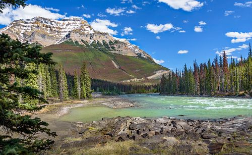 Athabasca bij de watervallen, Canada