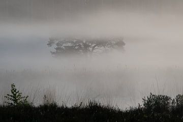 Misty morning op de Teut 1 van Jean's Photography