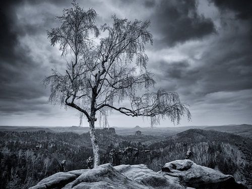 Land of Mordor, home of Sauron