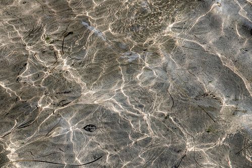 réflexion spéciale de l'eau