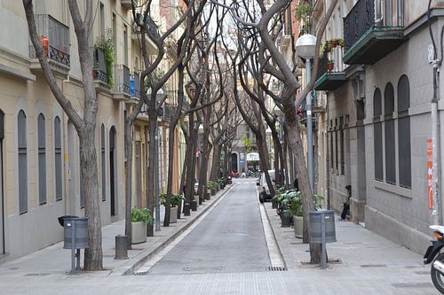 Street